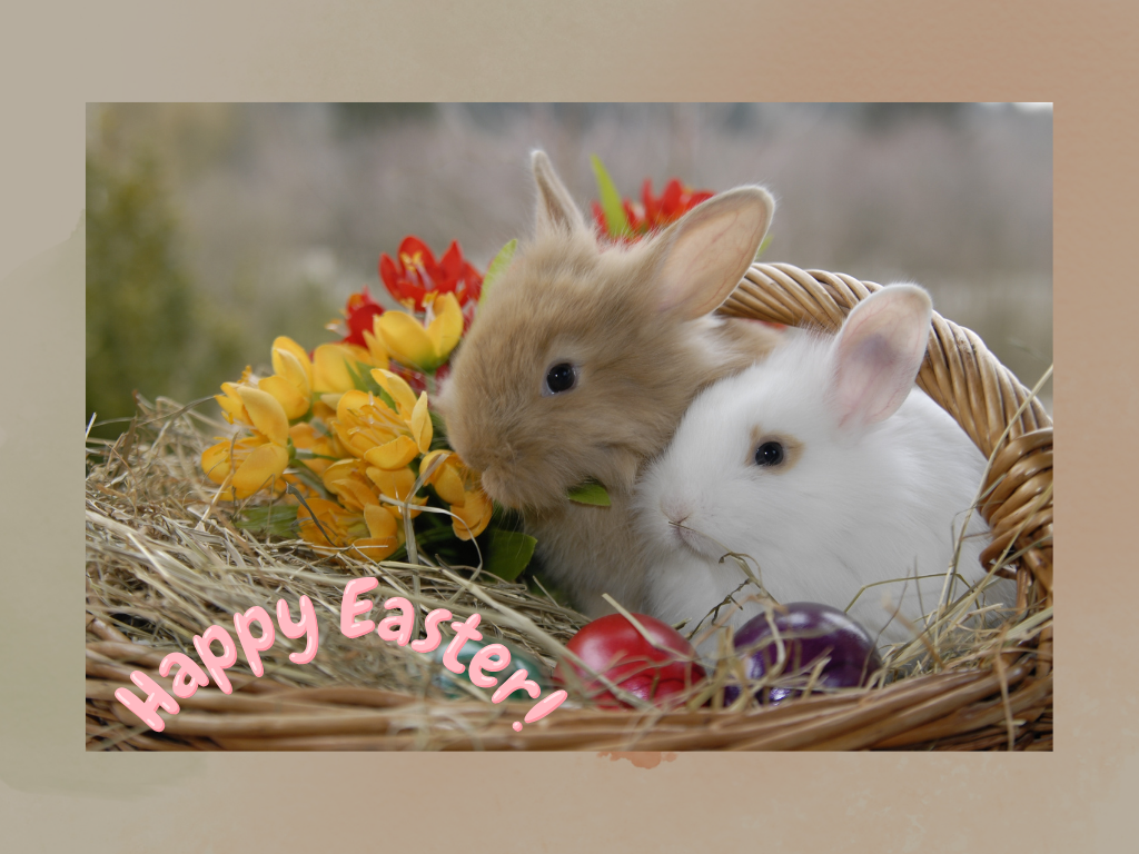 Happy Easter! Let the celebration of life and faith bring you peace.