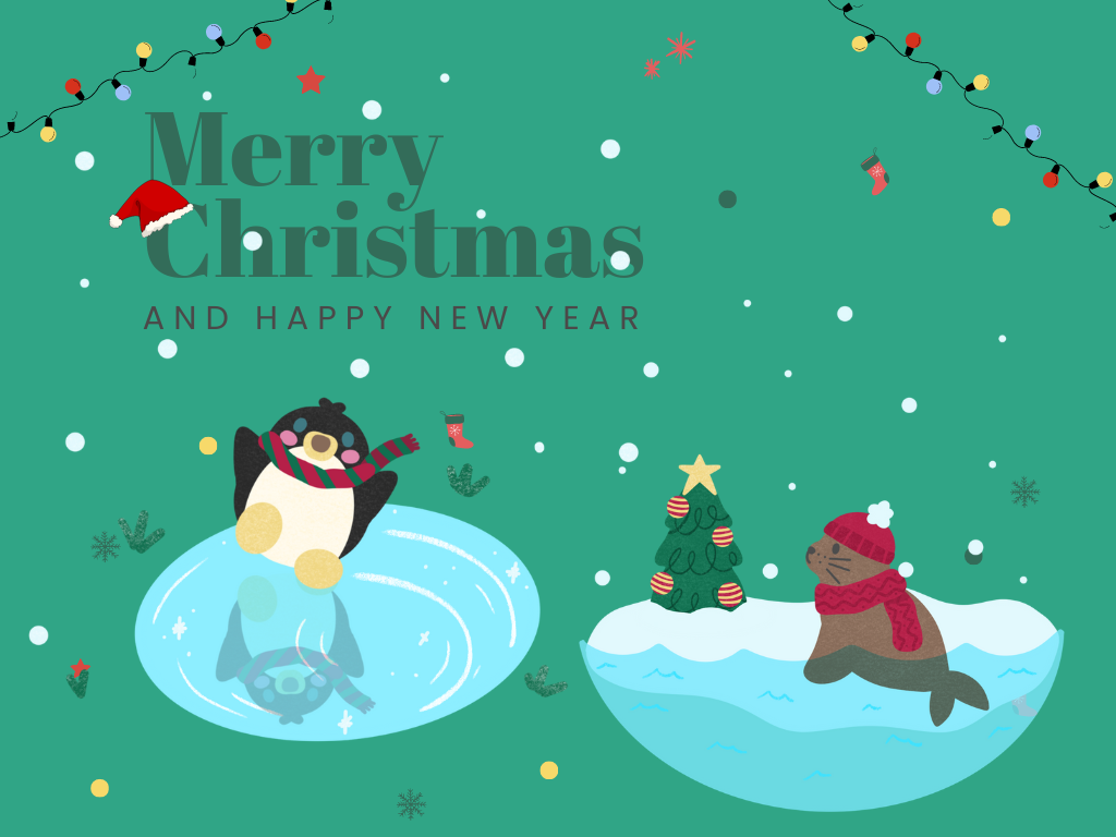 Merry Christmas! Enjoy every moment! 🎁🎉